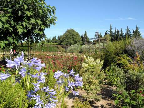 Le Jardin d'Alcinoos