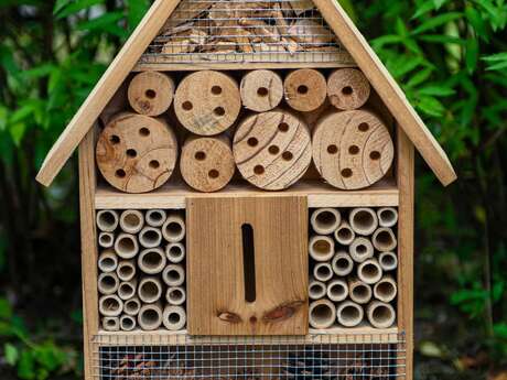 Fête de la nature : workshop on making an insect hotel