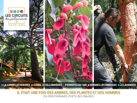 Les Circuits du Patrimoine : Il était une fois des Arbres, des Plantes et des Hommes en Méditerranée Porte des Maures Les Circuits du Patrimoine : Il était une fois des Arbres, des Plantes et des Hommes en Méditerranée Porte des Maures