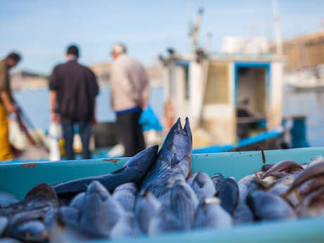 Simulatore di pesca con Le Sarranier