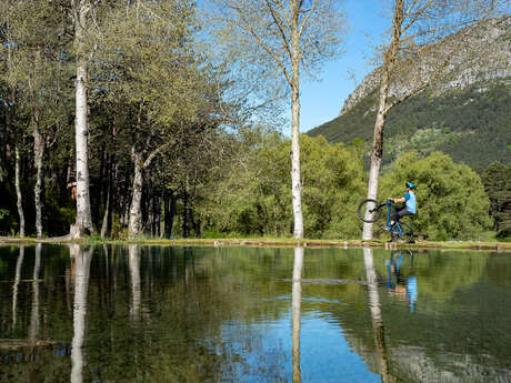 N°2 Circuit VTT et Gravel : Le Plan des Colettes