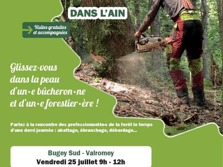 Vis ma Vie de Bûcheron