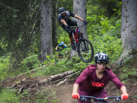 Descente du Bois de la Motte  - Piste VTT Descente N°12