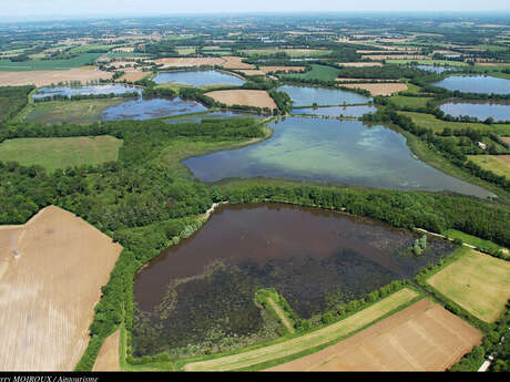 Itinérance L'Ain à Vélo - La Dombes, terre d'eau (4 jours)