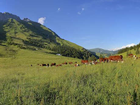 Cycling up Col des Aravis