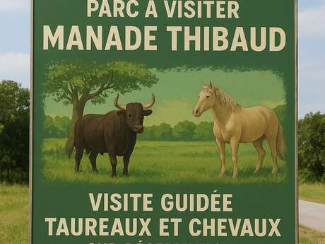 Visite de la Manade Thibaud