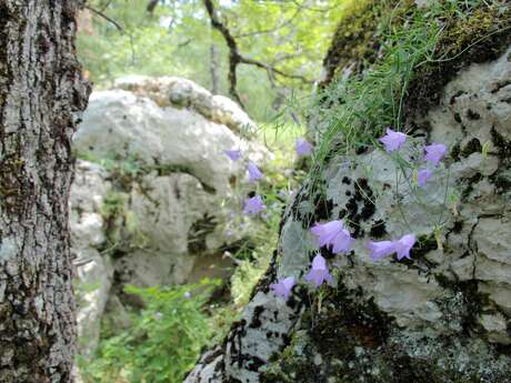 Randonnée argile en Provence - Journée