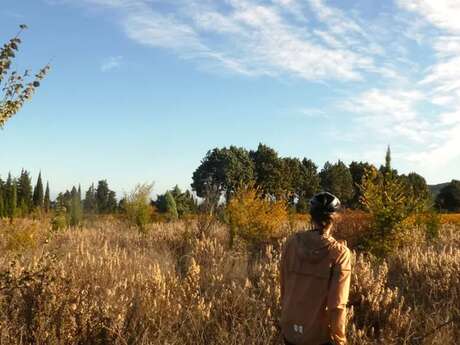 Boucle cyclo-découverte Les Anciens Etangs