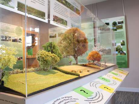 Maison de la Combraille