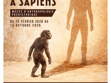 Ausstellung "Von Toumaï bis Sapiens
