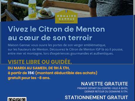 Guided tour of Domaine Gannac