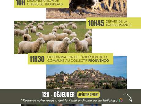 Fête de la Transhumance - Vernègues