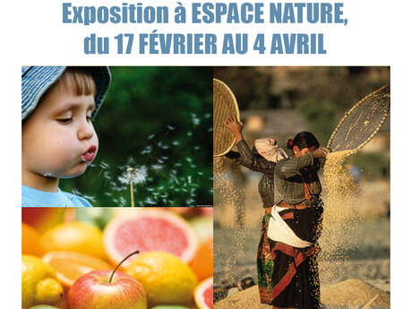 Exhibition: The Seed and the Fruit