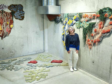 Béatrice BAULARD - Sculptrice Textile