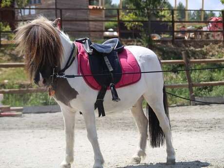 Haras des Villards: passeggiata a cavallo "Le Chant des Oliviers