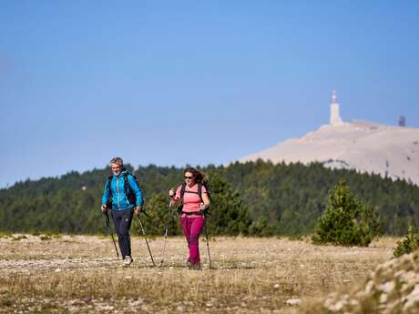 BEDOIN - Les crêtes du Mont-Ventoux