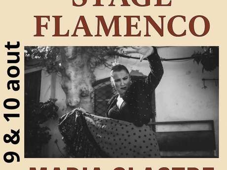 Stage de Flamenco