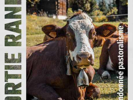 Randonnée pastoralisme