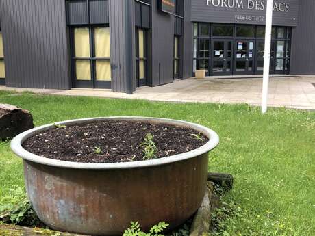 Forum des lacs