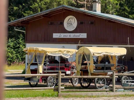 Ecurie du Bon Nant - Le sens du cheval