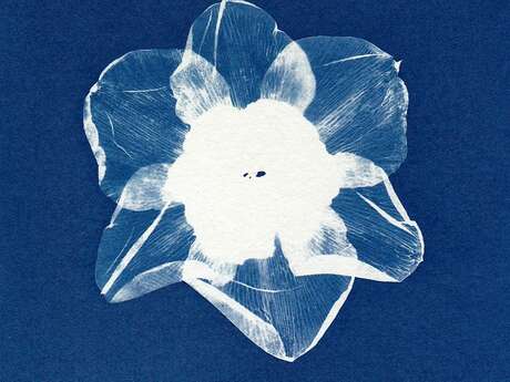 Atelier - Livre accordéon au fil de l'eau en cyanotype