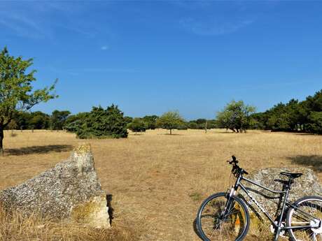 SAINT REMY DE PROVENCE - Pèr draio e pèr Camin in mountain bike
