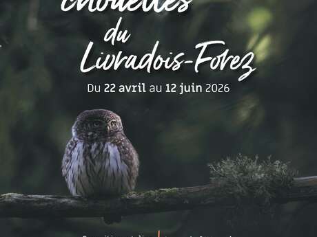 Les chouettes du Livradois-Forez