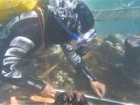 Plonger oui mais comment ?