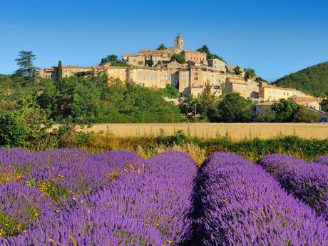 The Chemin des Lavandes (Lavender Path)