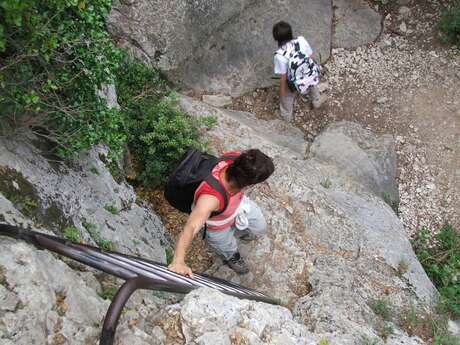 Véroncle in its entirety