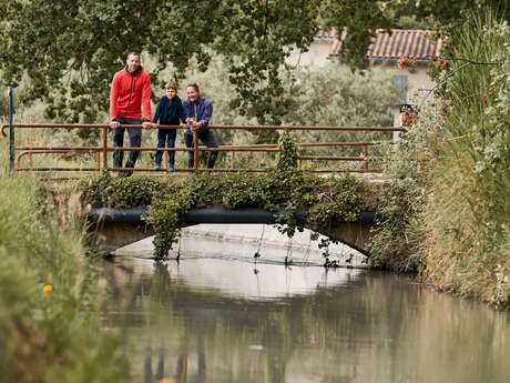 AUBIGNAN - Le plateau de Gargamiane