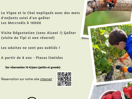 Dis, raconte moi la vigne