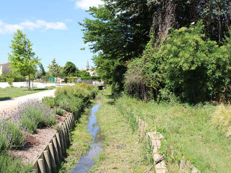 Bouches-du-Rhône en Paysages - Balade douce à Rognonas