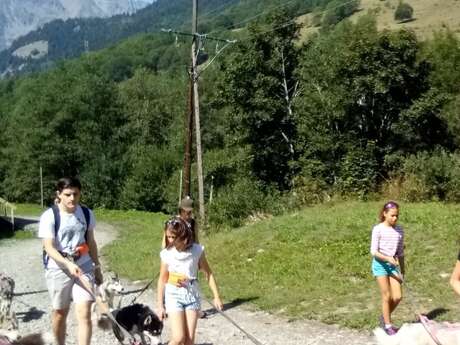 Cani Balade