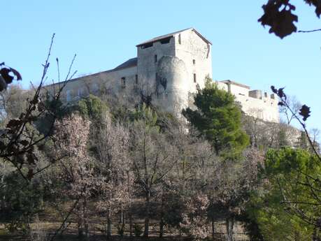 Castle called "of the Templars