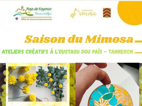 Workshops at Oustaou dòu païs: mimosa season