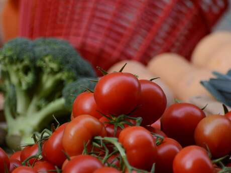 Petit marché du mercredi matin à Rasteau