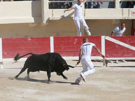 Course de Taù