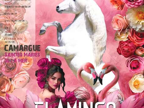 Spectacle "Flamingo" au Théâtre Equestre Camarkas