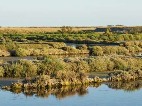 Proyecto participativo en los pantanos - Salida con los guardas ecológicos