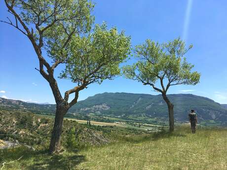 Tour du Pic de l'Aigle (N°9)