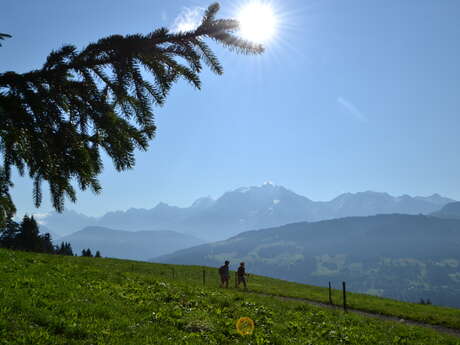 Hiking "la petite Ravine- Fouettaz" tour