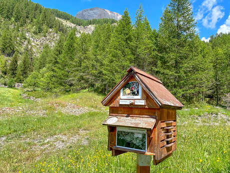 Sentier Lavergan court