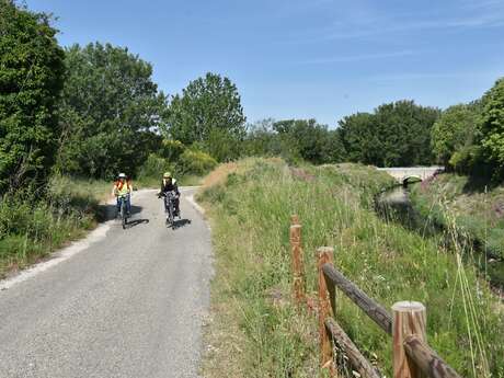 Les Foins de Montfavet-balade à vélo-58