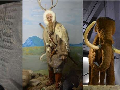 Atelier - Vacances d'hiver - Visite et création