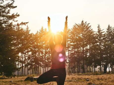 Séance de yoga en plein air