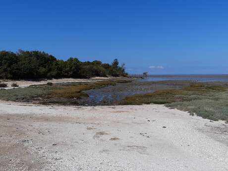 La baie d'Yves au fil des Temps - Le Magnou entre terre et Mer