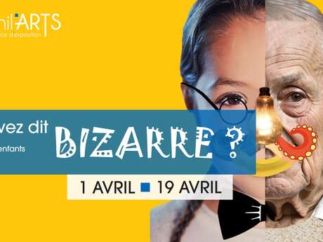 Bizarre, vous avez dit bizarre ? - exposition des enfants de Fillière