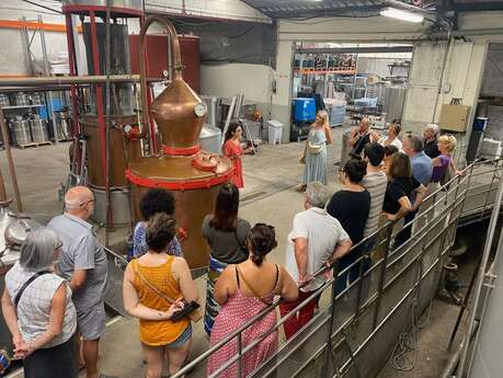 Visite guidée de la distillerie Maison Manguin