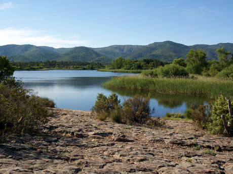 La Plaine des Maures